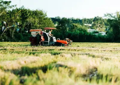 AI lage-koolstof rijstbouw: hoe vermindert het uitstoot?