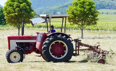 IA agricultura baja carbono: guía para la eficiencia en el campo