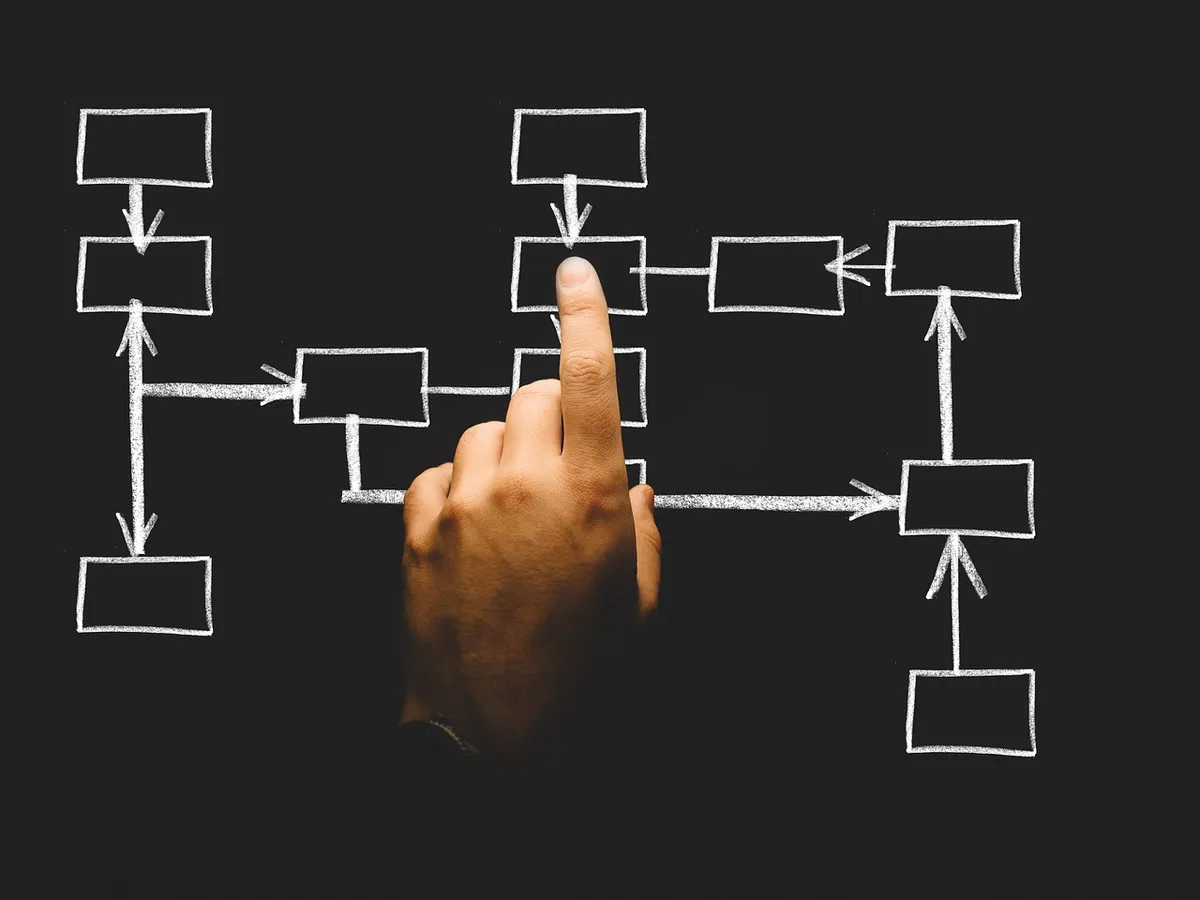 organization, organization chart, construction, business, company, operation, departments, employees, structure, overview, specialist, executive, staff, employe