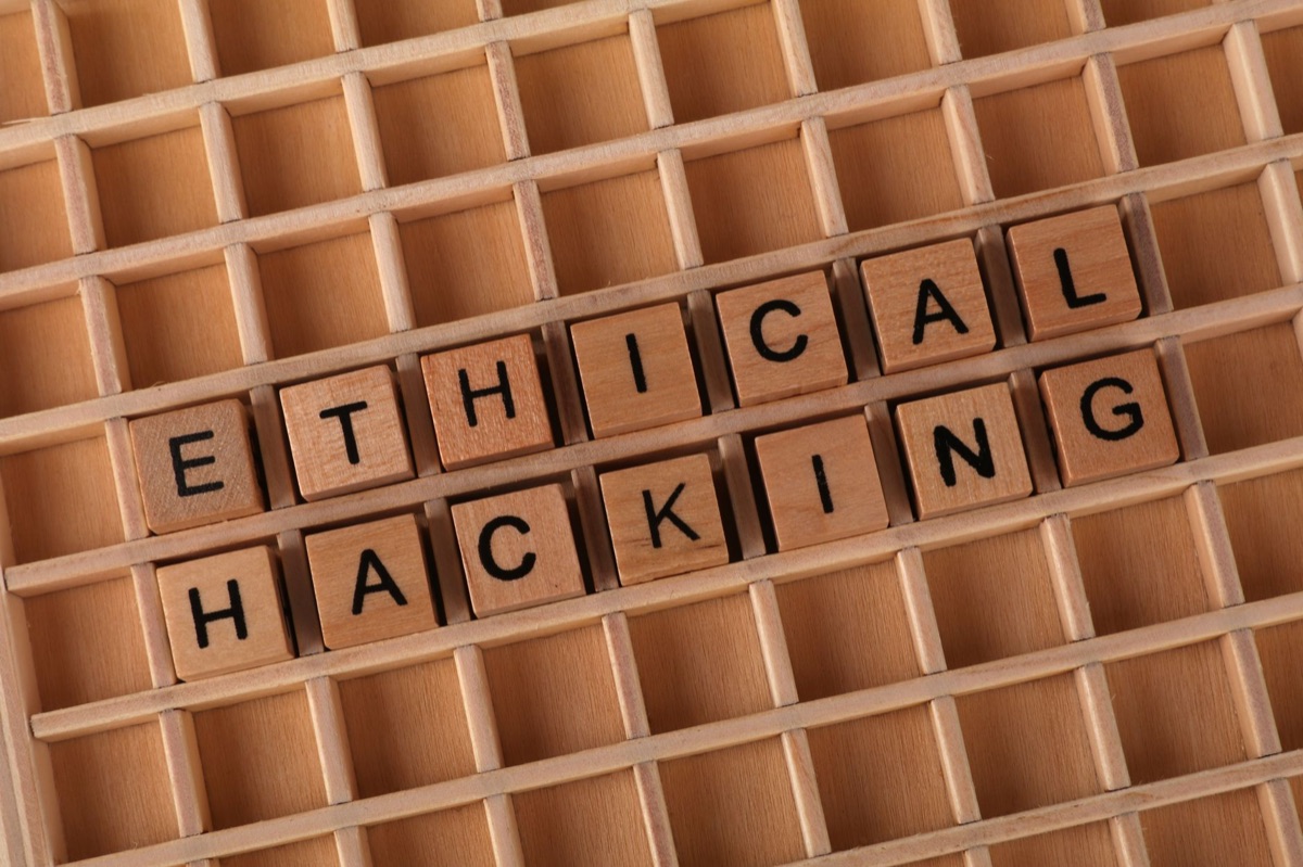 AI model security testing with redacted text examples